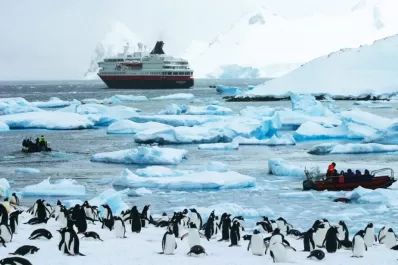 Día de la Antártida Argentina: por qué se conmemora cada 22 de febrero