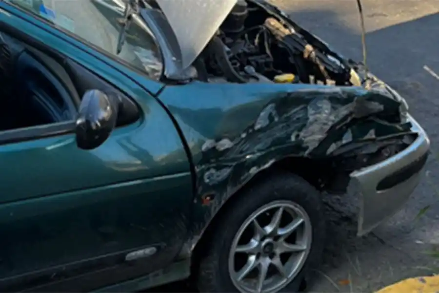 DAÑOS MATERIALES. El vehículo sufrió roturas en su parte delantera. 