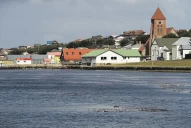 Los detalles del polémico pacto “Foradori-Duncan”