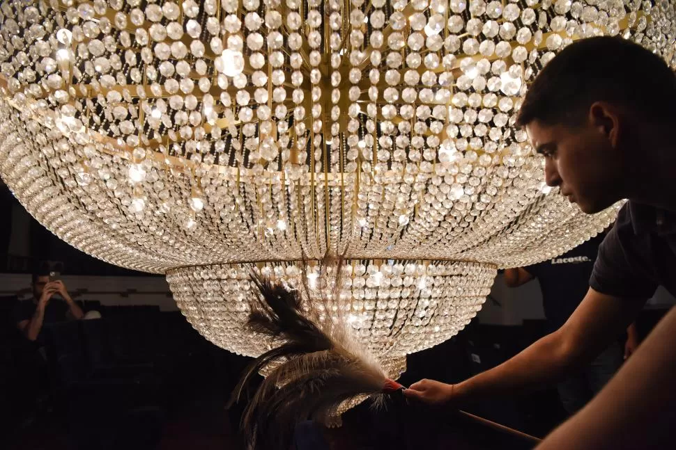 LIMPIEZA. El plumero es fundamental para lograr un brillo adecuado. LA GACETA/FOTO DE ANALÍA JARAMILLO  