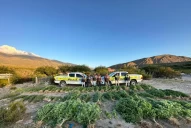 Los transas ya están cultivando marihuana en Tucumán