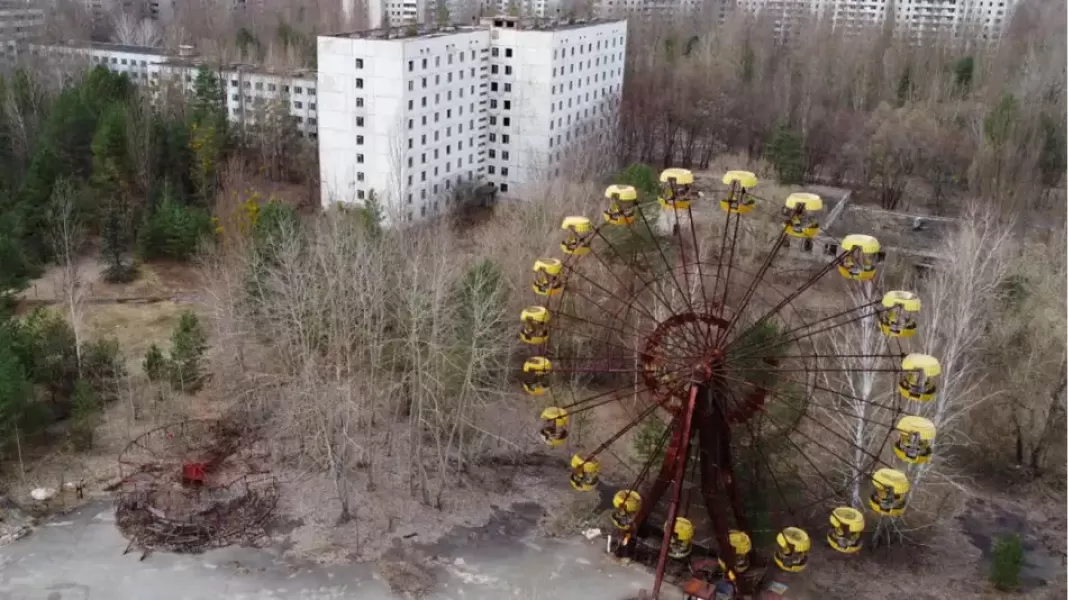 A qué se debe el cambio en la genética de los perros en Chernobyl