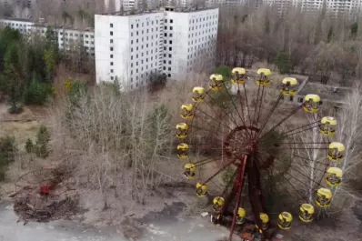 A qué se debe el cambio en la genética de los perros en Chernobyl
