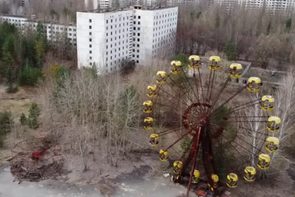 A qué se debe el cambio en la genética de los perros en Chernobyl