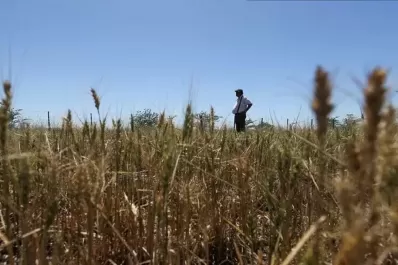 El impacto de la sequía sobre la economía argentina es dramático