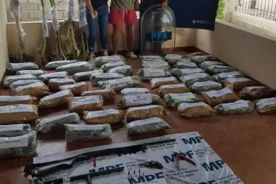 Descubrieron una plantación en una vivienda de Los Ríos y secuestraron 60 kilos de marihuana