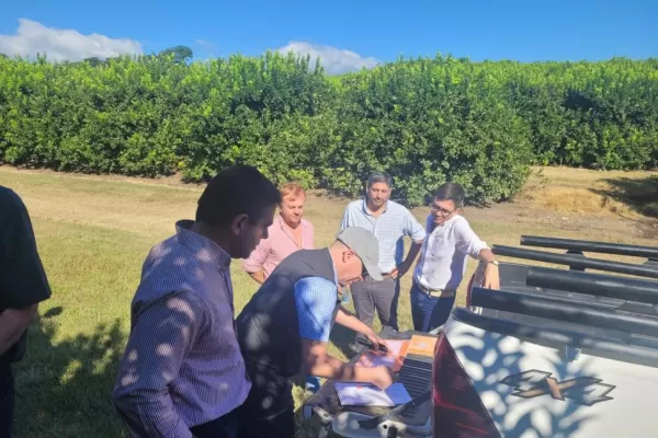 Citrus tucumano: la Unión Europea realizó una auditoría