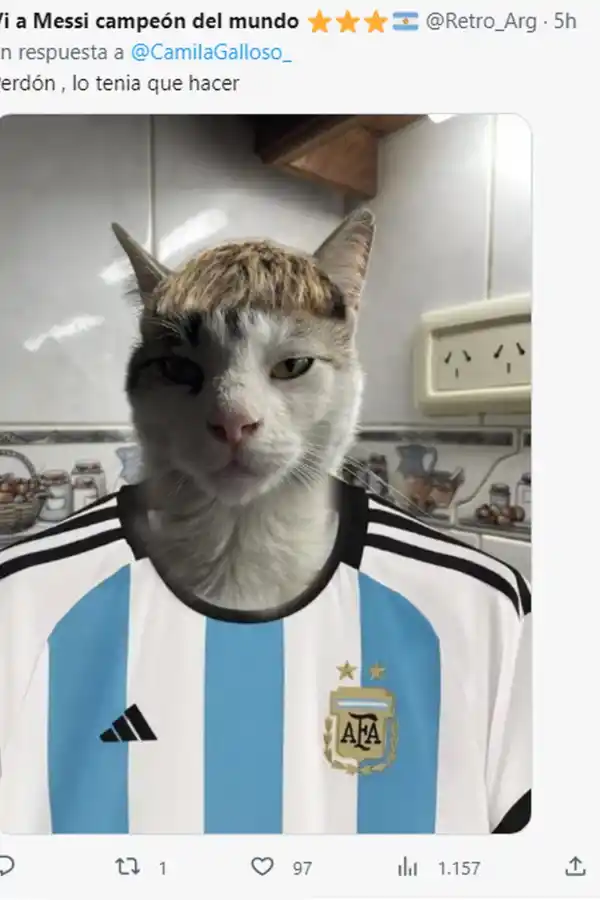 Comparó a un gato con un jugador de la Selección argentina y es furor en las redes