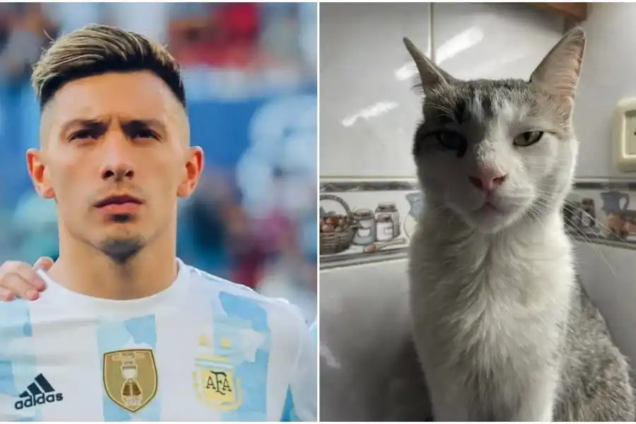 Comparó a un gato con un jugador de la Selección argentina y es furor en las redes