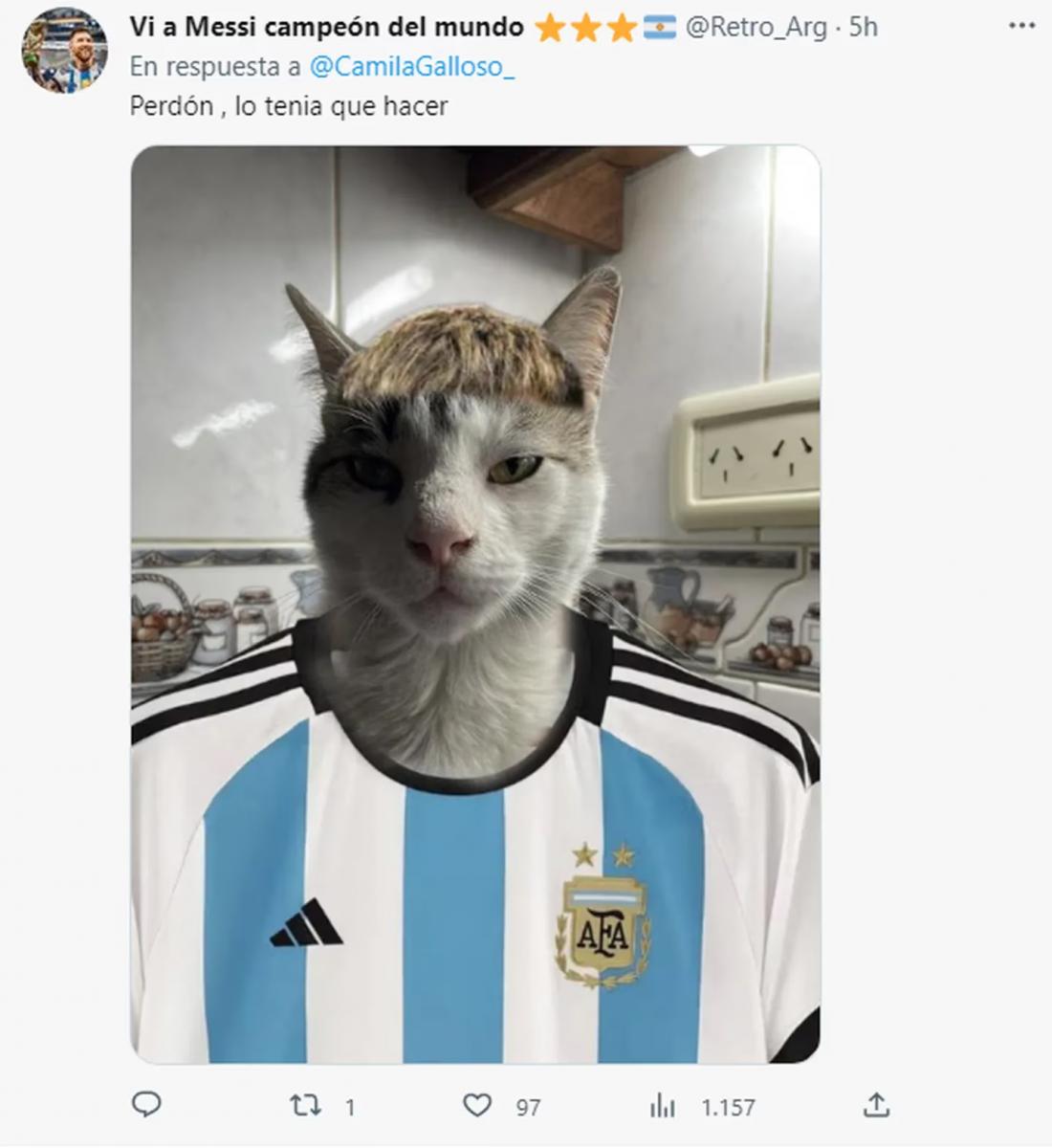 Comparó a un gato con un jugador de la Selección argentina y es furor en las redes