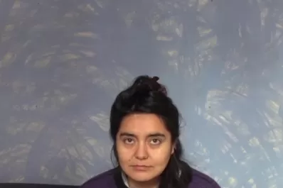 Qué hay para ver en CCCGO y en las plataformas de streaming