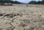 Sequía: El Gobierno declaró la emergencia agropecuaria en Córdoba