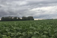 Sequía: entre las más duras del último medio siglo