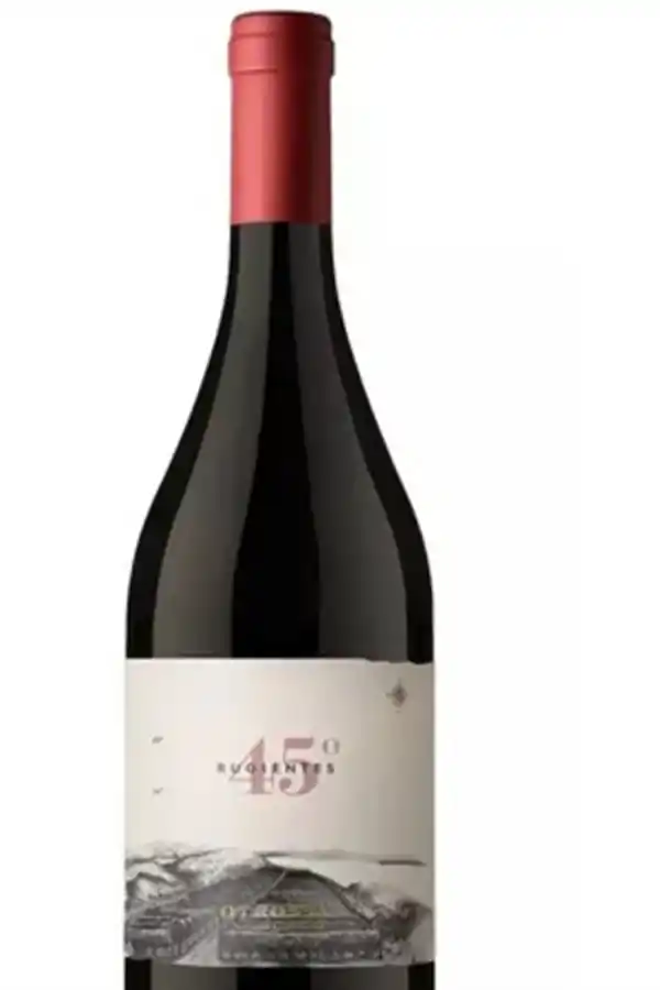 DESDE LA PATAGONIA. La experta recomienda el pinot noir “45° Rurgentes”, que se elabora en Sarmiento, provincia de Chubut.