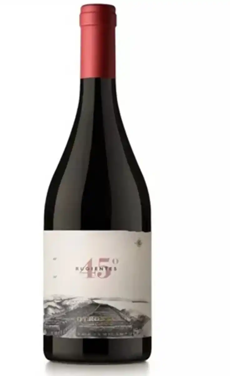 DESDE LA PATAGONIA. La experta recomienda el pinot noir “45° Rurgentes”, que se elabora en Sarmiento, provincia de Chubut.