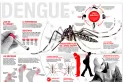 Dengue: crecen los casos y aumenta la preocupación de la gente