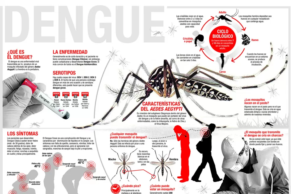 Dengue: crecen los casos y aumenta la preocupación de la gente