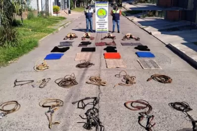 Robaron elementos de equinoterapia valuados en $ 2 millones