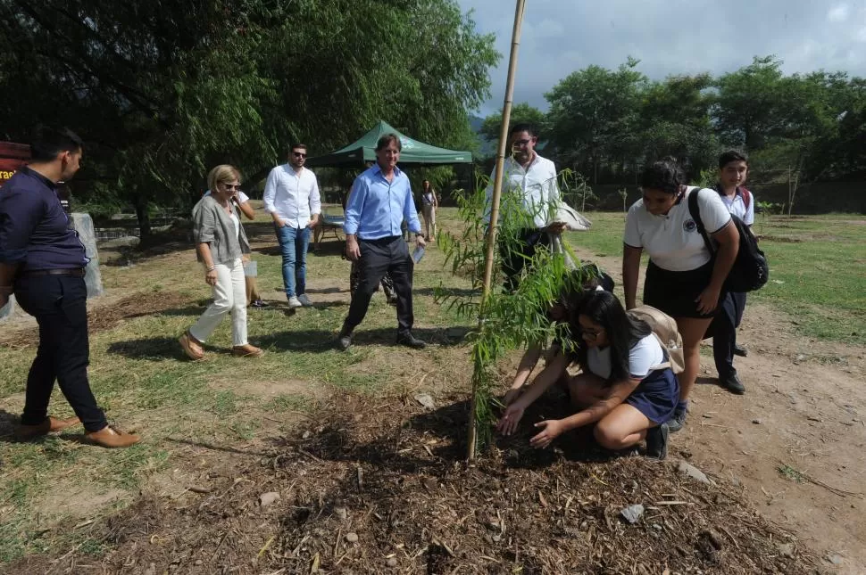 REFORESTACIÓN. Los jóvenes becados por la fundación tucumana plantan los árboles en el pedemonte. 