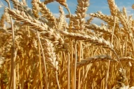 CRA, y un mensaje al próximo Gobierno