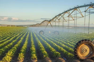 Agudizar la inteligencia para preservar el agua