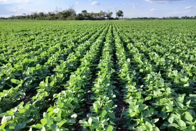 “La Argentina posee la industria de biodiésel más moderna del mundo”