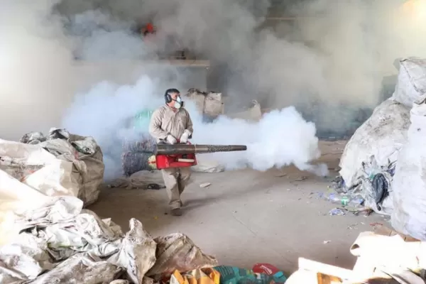 La mitad de las casas tiene criaderos de mosquitos