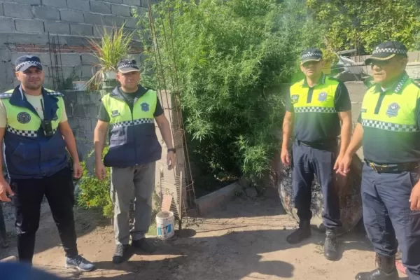 Visto y oído: secuestran droga en el sur