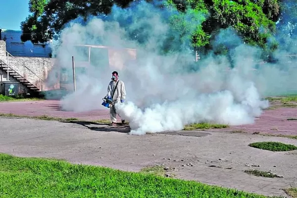 Fumigaciones en tiempos del dengue: ¿Qué efectividad tienen?