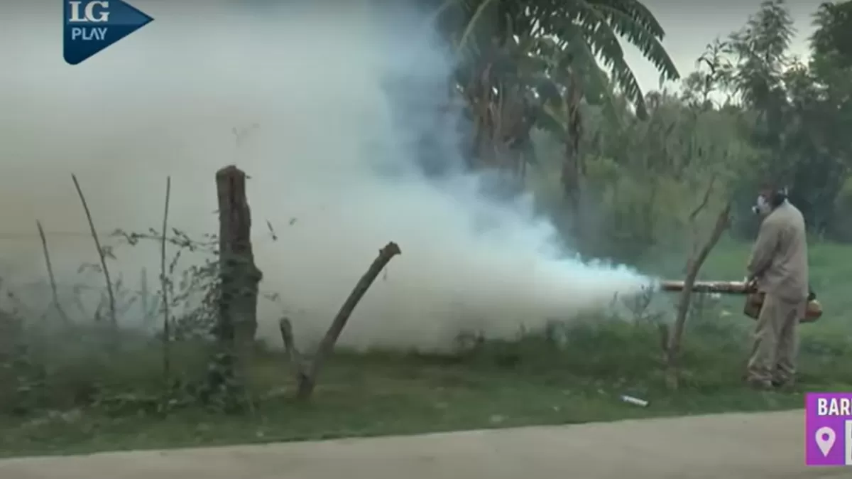Fumigación. CAPTURA DE VIDEO