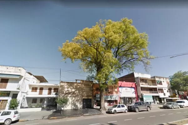 Cartas de lectores: Peligroso árbol