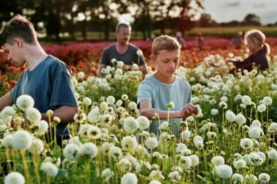 Destacados filmes llegan a la grilla de Movistar+