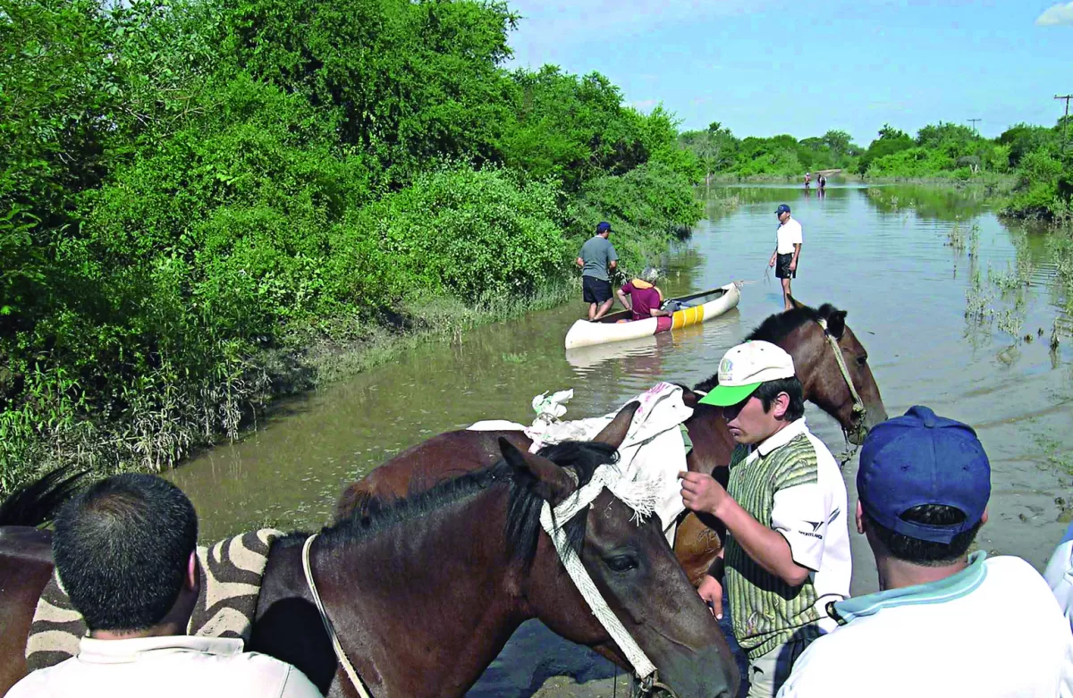 El río Chico expulsa a familias de Niogasta