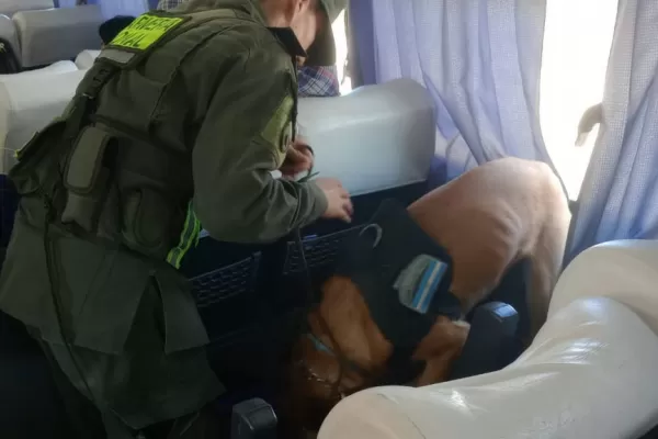 Un pasajero fue detenido por transportar tres paquetes de cocaína