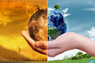 Los principios ambientales en la base de las decisiones judiciales