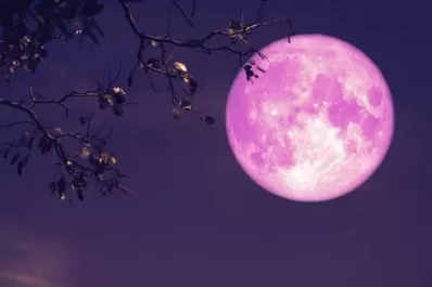Luna Rosa en Argentina: de qué se trata y cuándo podrá observarse el fenómeno