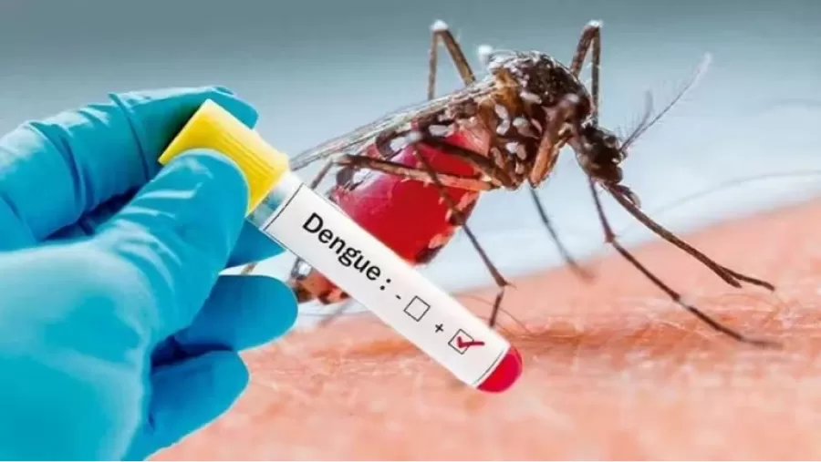 Desde el Ministerio de Salud informaron cuál es el tratamiento en caso de presentar síntomas de dengue.
