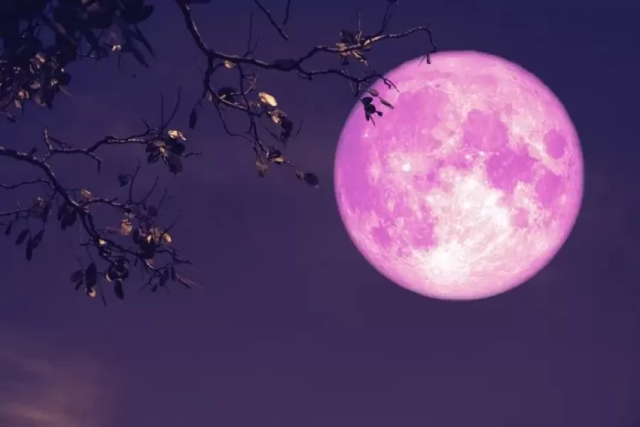 La Luna Rosa podrá verse en todo el planeta este jueves.