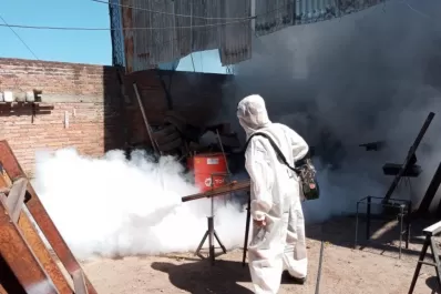 Dengue: todo lo que tenés que saber para cuidarte a vos y a tu familia