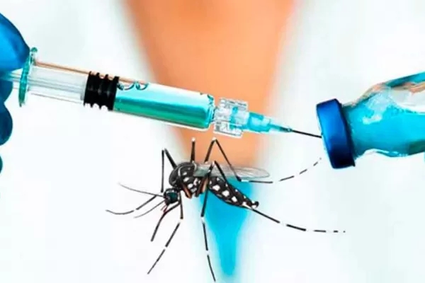 Dengue: Cómo es la vacuna japonesa que la Anmat evalúa aprobar