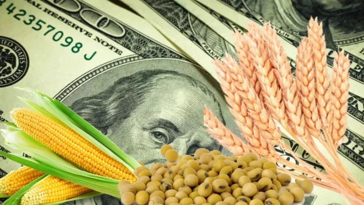 Nuevo parche: la Mesa de Enlace rechazó el último Dólar Agro