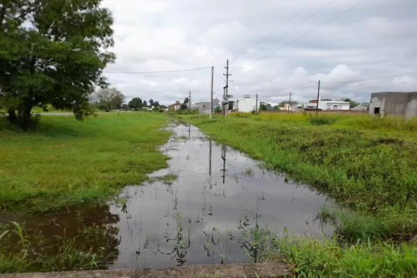 Dengue: autoridades aseguran que el brote está controlado en el sur