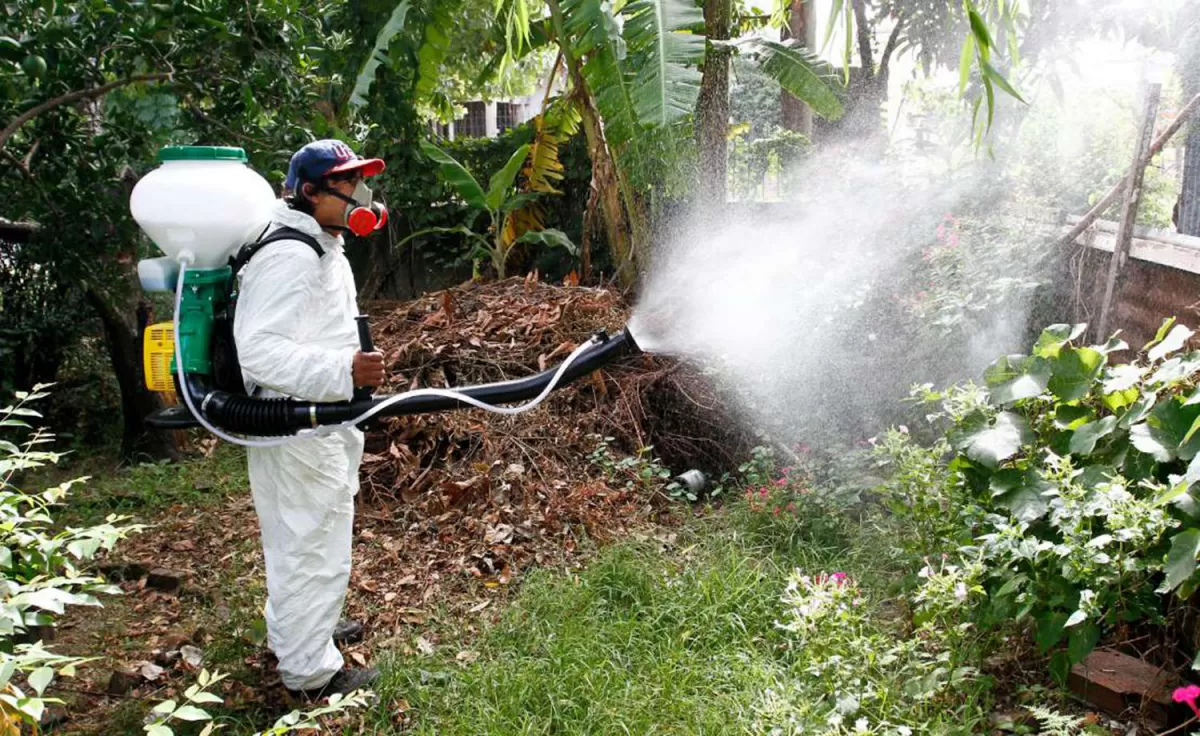 En el sur se confirman 245 casos de dengue y se intensifican labores de fumigación y descacharreo