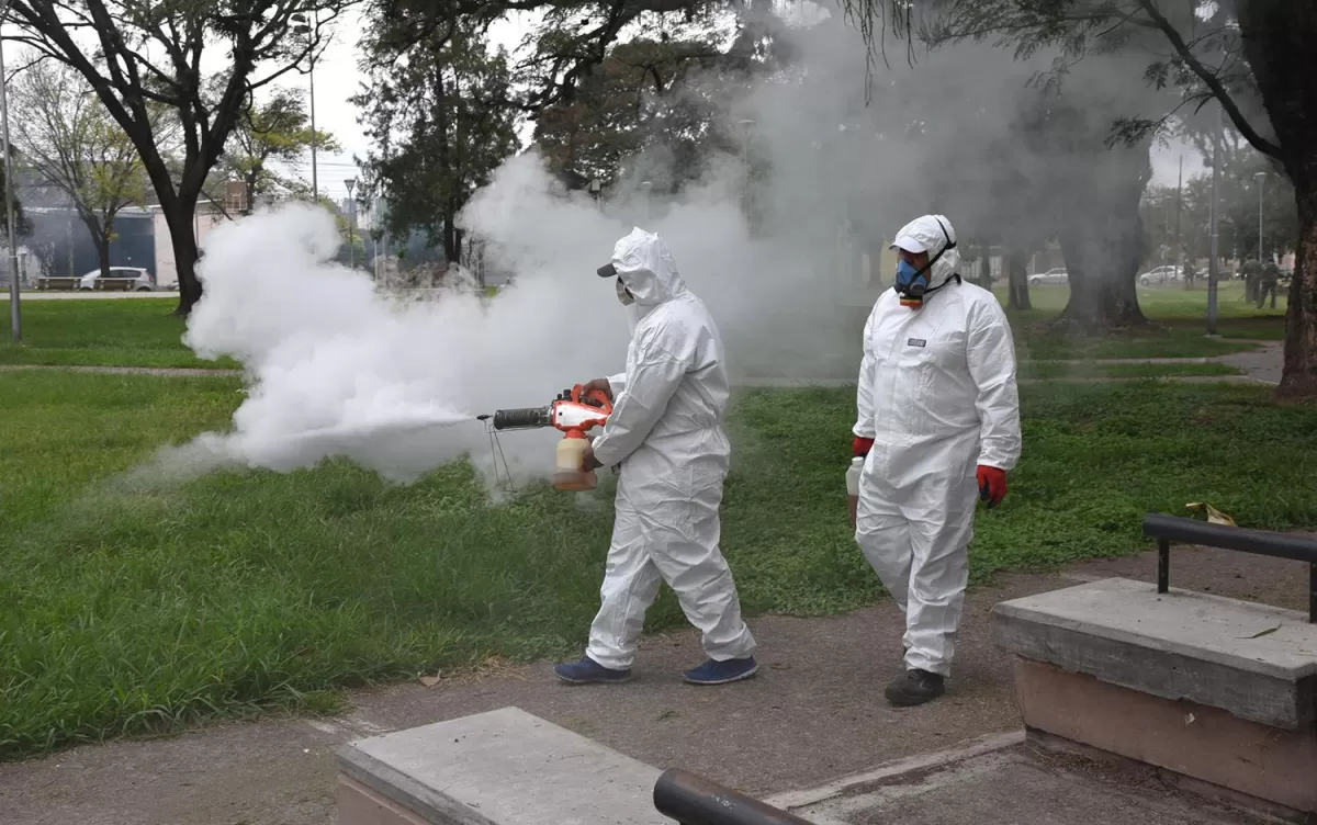 Tucumán, la segunda provincia con más casos de dengue en el país