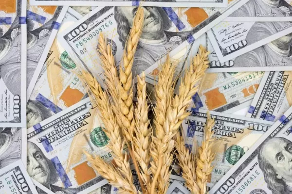 No beneficia al productor: el titular de la Federación Agraria cuestionó el dólar soja