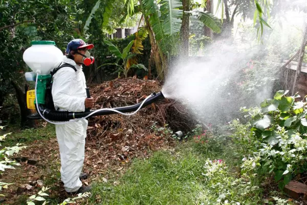 En el sur se confirman 245 casos de dengue y se intensifican labores de fumigación y descacharreo