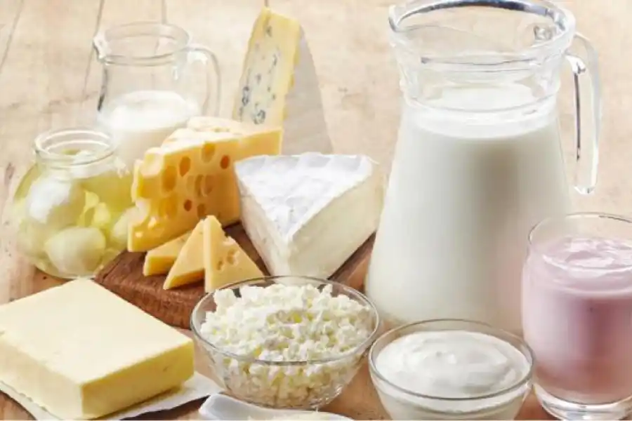 Leche, yogurt y queso deben ser incluidos en las dietas diarias de niños y adolescentes.