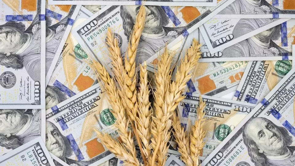No beneficia al productor: el titular de la Federación Agraria cuestionó el dólar soja