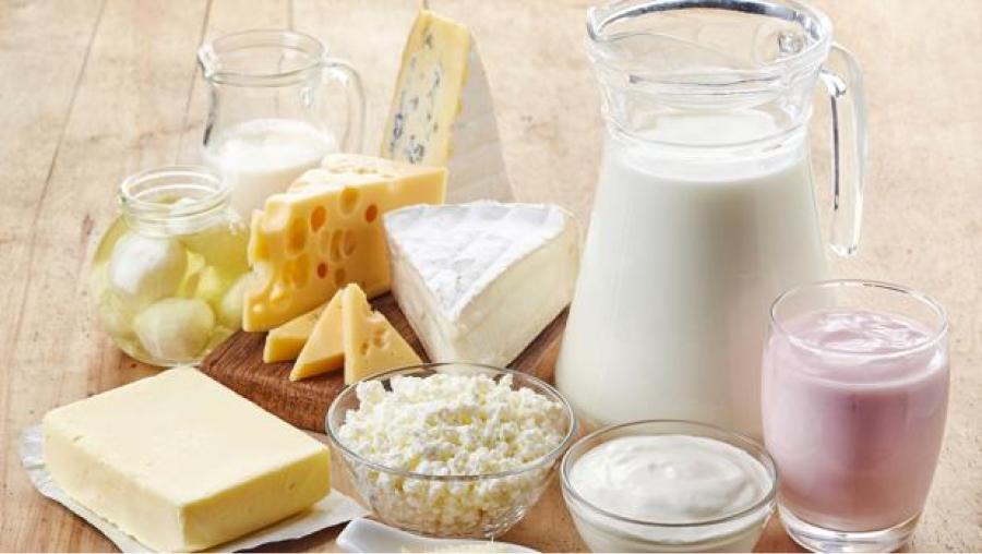 Leche, yogurt y queso deben ser incluidos en las dietas diarias de niños y adolescentes.