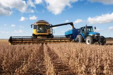 Argentina cedería su lugar dominante en el mercado de harina de soja